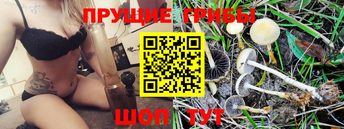 Галлюциногенные грибы ЛСД Кумертау