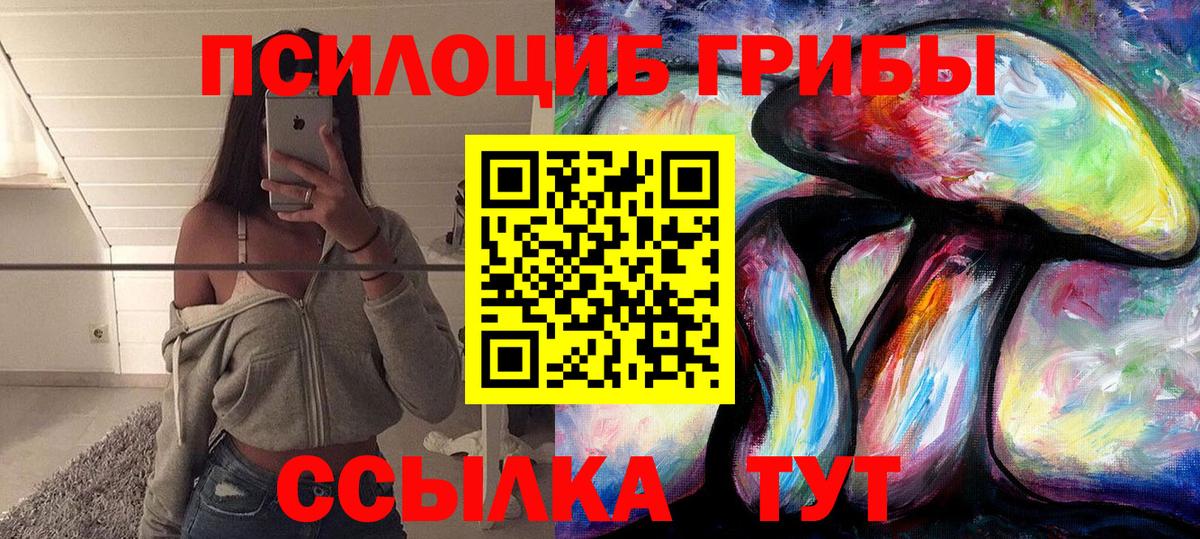 цена   Галлюциногенные грибы Psilocybine cubensis  Вход с VPN  Кумертау 