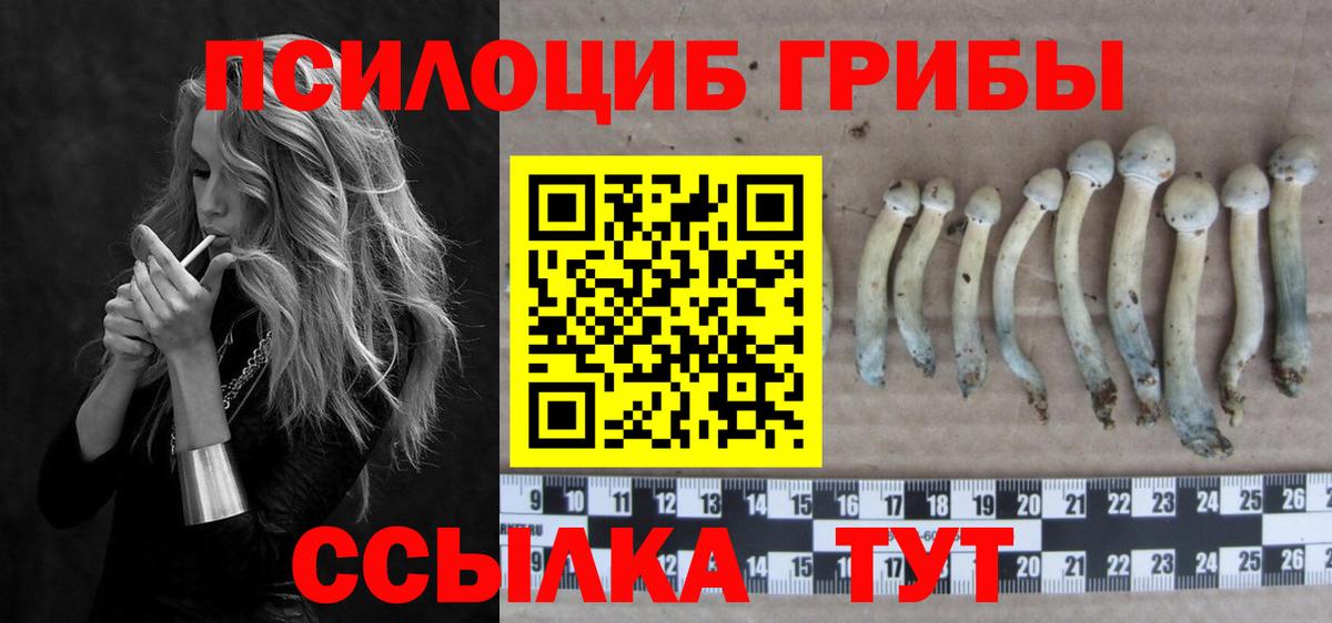 ТГК  Лсд 25  Вход с VPN  Кокаин  Кумертау  Меф кристаллы  Конопля  ГАШИШ  Метамфетамин 